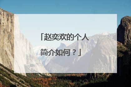 赵奕欢的个人简介如何？