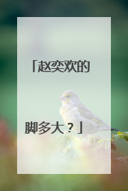 赵奕欢的脚多大？