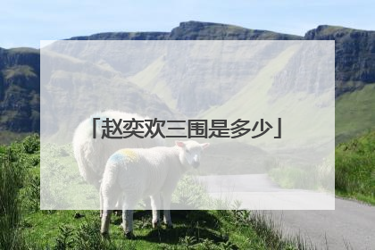 赵奕欢三围是多少