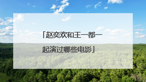 赵奕欢和王一都一起演过哪些电影