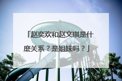 赵奕欢和赵文琪是什麽关系？是姐妹吗？