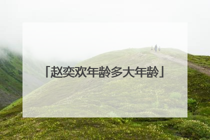 赵奕欢年龄多大年龄