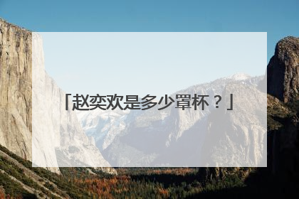 赵奕欢是多少罩杯？