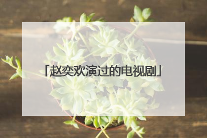 赵奕欢演过的电视剧