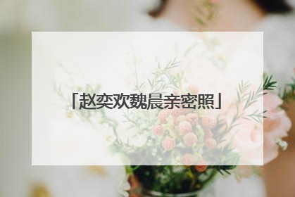 赵奕欢魏晨亲密照