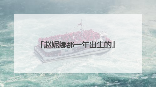 赵妮娜那一年出生的