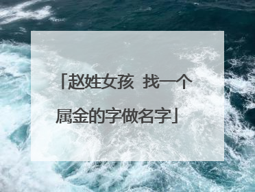 赵姓女孩 找一个属金的字做名字