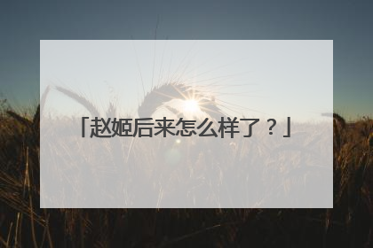 赵姬后来怎么样了？