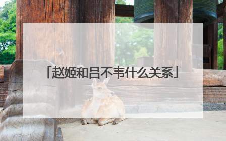 赵姬和吕不韦什么关系