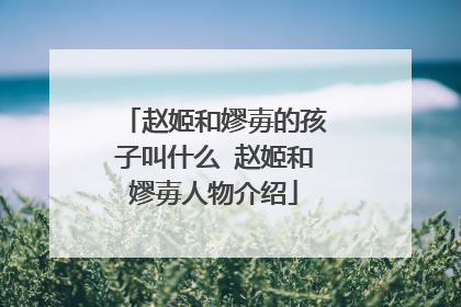 赵姬和嫪毐的孩子叫什么 赵姬和嫪毐人物介绍