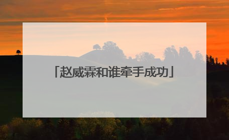 赵威霖和谁牵手成功