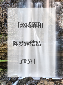 赵威霖和陈梦露结婚了吗?