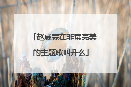 赵威霖在非常完美的主题歌叫升么