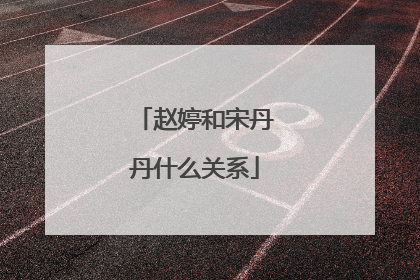 赵婷和宋丹丹什么关系