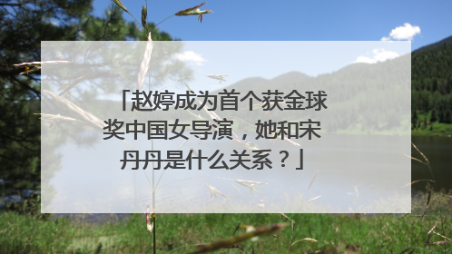 赵婷成为首个获金球奖中国女导演,她和宋丹丹是什么关系?