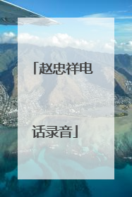 赵忠祥电话录音