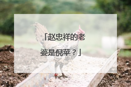 赵忠祥的老婆是倪苹？