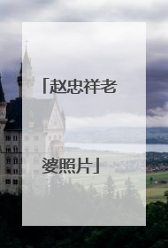 赵忠祥老婆照片