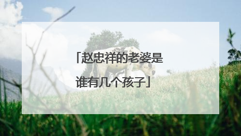 赵忠祥的老婆是谁有几个孩子