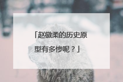 赵徽柔的历史原型有多惨呢?