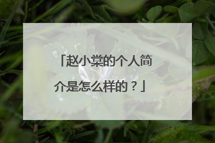 赵小棠的个人简介是怎么样的？
