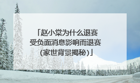 赵小棠为什么退赛 受负面消息影响而退赛(家世背景揭秘)