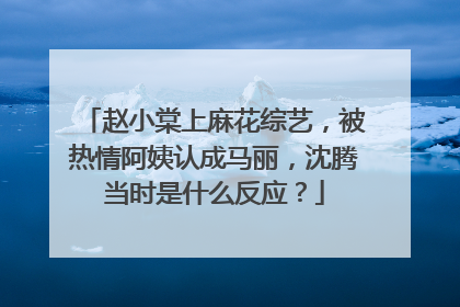 赵小棠上麻花综艺,被热情阿姨认成马丽,沈腾当时是什么反应?