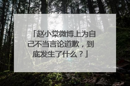 赵小棠微博上为自己不当言论道歉，到底发生了什么？