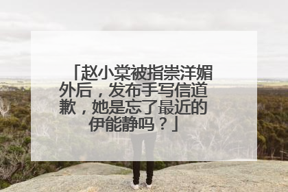 赵小棠被指崇洋媚外后，发布手写信道歉，她是忘了最近的伊能静吗？