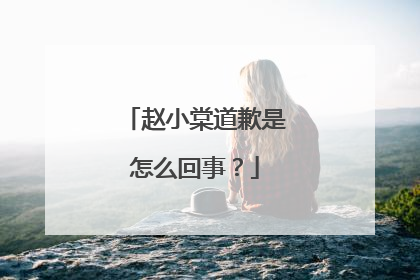 赵小棠道歉是怎么回事？