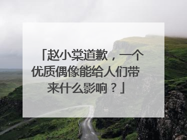 赵小棠道歉，一个优质偶像能给人们带来什么影响？
