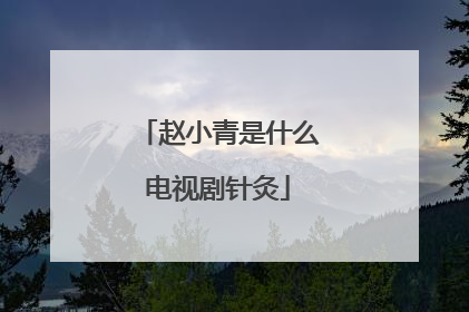 赵小青是什么电视剧针灸