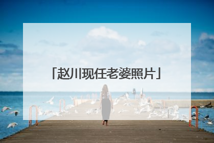 赵川现任老婆照片