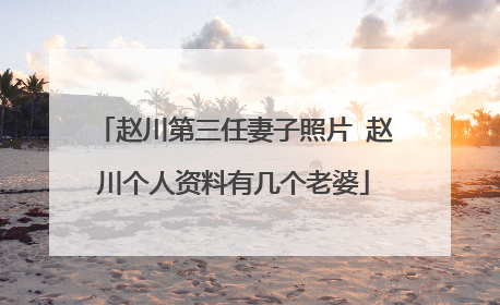 赵川第三任妻子照片 赵川个人资料有几个老婆