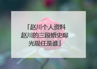 赵川个人资料 赵川的三段婚史曝光现任是谁