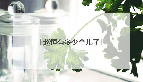 赵恒有多少个儿子