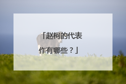 赵柯的代表作有哪些?