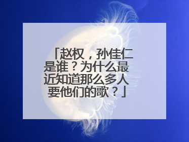 赵权，孙佳仁是谁？为什么最近知道那么多人要他们的歌？