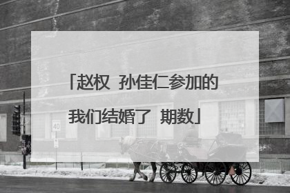 赵权 孙佳仁参加的我们结婚了 期数