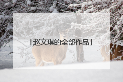 赵文琪的全部作品