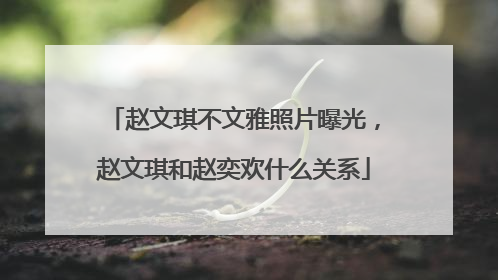 赵文琪不文雅照片曝光，赵文琪和赵奕欢什么关系