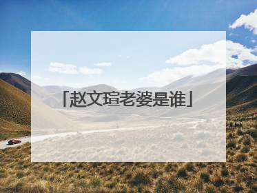 赵文瑄老婆是谁