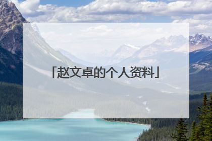 赵文卓的个人资料