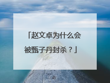 赵文卓为什么会被甄子丹封杀？