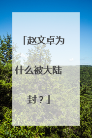 赵文卓为什么被大陆封？