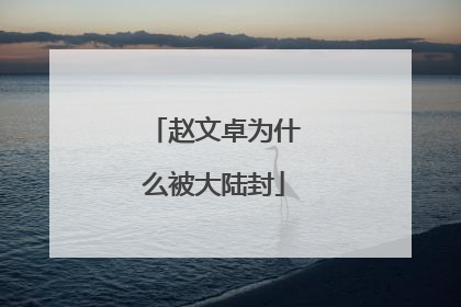 赵文卓为什么被大陆封