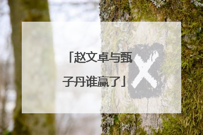 赵文卓与甄子丹谁赢了