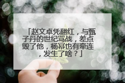 赵文卓凭翻红,与甄子丹的世纪骂战,差点毁了他,杨幂也有牵连,发生了啥?