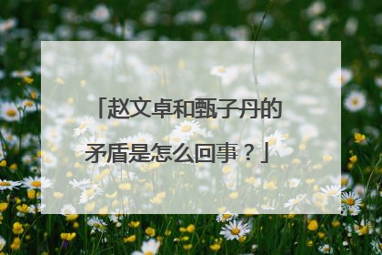 赵文卓和甄子丹的矛盾是怎么回事?