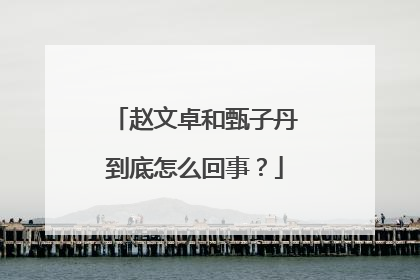 赵文卓和甄子丹到底怎么回事?